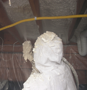 Daytona FL crawl space insulation